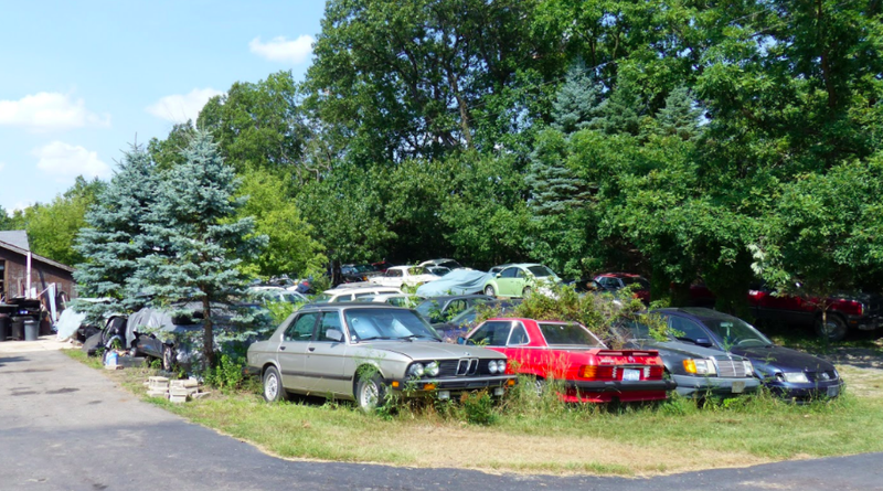 Illustration for article titled One Year Later, Michigan Man Ordered to Sell 20 Cars a Month Is Out 160 Cars but Remains Upbeat